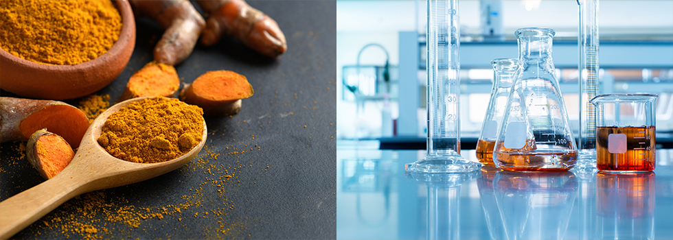 Theracurmin® Nurtured by Nature, Proven by Science: On Brain Health and Memory Thumbnail